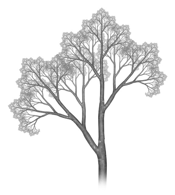 Fractal Tree Math